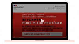 Visuel rencontres professionnelles sur les violences sexistes et sexuelles dans le sport et les cyberviolences au sein du couple de la MIPROF - novembre 2023