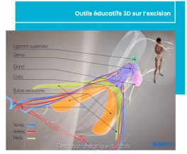 Outils éducatifs 3D Baadon